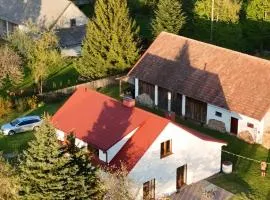 Śpimy u Dziadków - APARTAMENTY BIESZCZADY