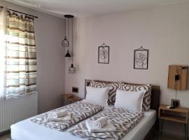 Guest House Dimitrije，位于尼什矿泉村的酒店