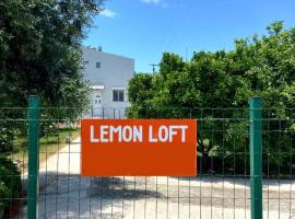 Lemon Loft，位于普雷韦扎的酒店