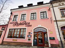 Penzion U Raušů，位于Velká Bíteš的酒店