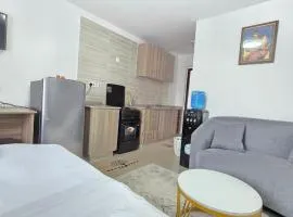 Stadeview Suites 5013