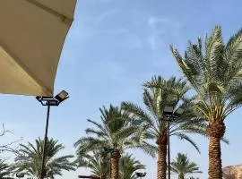 Magical Desert Dunes