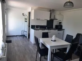 Appartement T1 bis proche centre ville