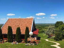 Kuća Čerevićki Vidikovac，位于Čerević的酒店