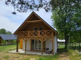 Leśna Przystań Bory Tucholskie