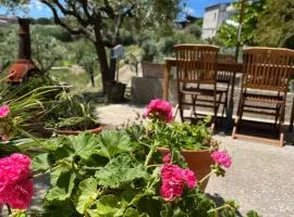 Casa vacanze 365 - verde