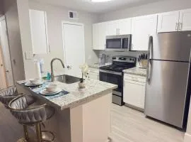 Apartment in Houston near NRG with Free Parking