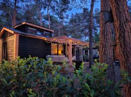 Thuisje van Hout, tiny house in Drentse natuur，位于泽伊德沃尔德的酒店