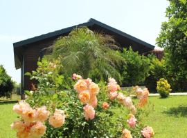 Çıralı Villa 2，位于凯麦尔的酒店