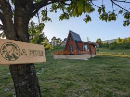AA Pine vikendica za izdavanje u srcu Zapadne Srbije，位于新瓦罗什的酒店