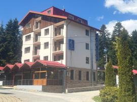 The Lodge Hotel，位于波罗维茨的酒店