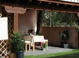 El Hogar del Fresno casa con encanto en Cañicosa