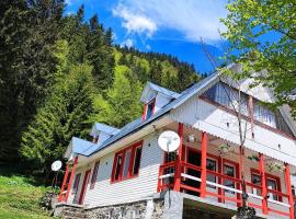 Cabană inchiriere integrală Transfăgărășan，位于Cumpăna的酒店