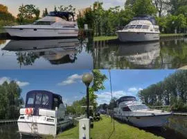 L'évasion - Pairi Daiza - Insolite