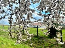 Pensiune Agroturistică RAY