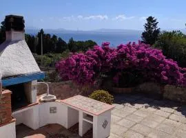 Residenza le bouganville