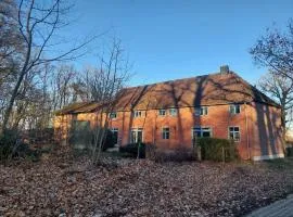 ALTE SCHEUNE Ferienwohnungen - Wohnung 4