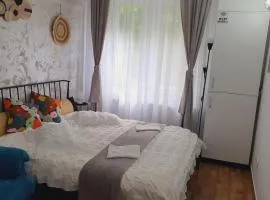 Garsoniera Ioana