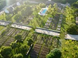 The Farm