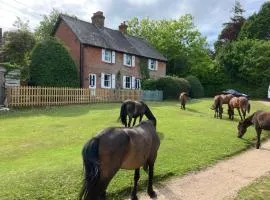 Yew Tree Cottage