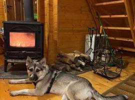 Domki na Mazurach Winiec，位于Winiec的酒店