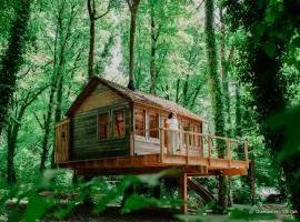 La Cabane de La Tortillère