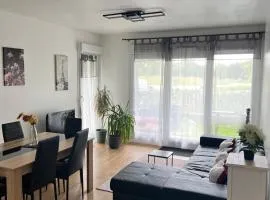 appartement 5min gare RER Disneyland Paris val d'Europe la vallée Village parking inclus