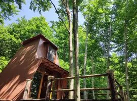 Forest House Paradise