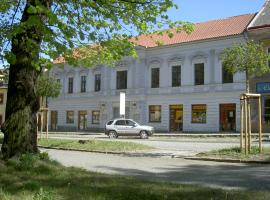 乌塞内赫奥拉酒店，位于Kostelec nad Černými Lesy的酒店