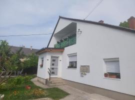 Jani vendégház Ground floor & Apartman，位于巴拉顿菲赖德的酒店