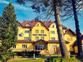 Hotel *** NAT Wisła，位于维斯瓦的酒店