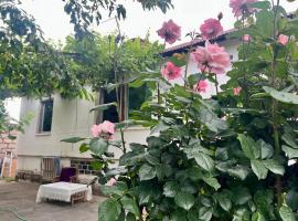 Karen's house，位于埃里温的酒店