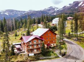Alpin Eco Chalet & Wellness，位于德拉格布拉特的酒店