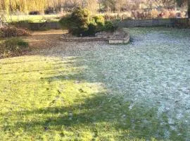Brookside Willow
