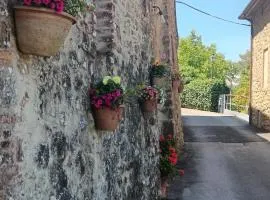 Villa la Grotta Montecastelli Pisano