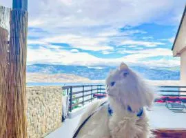 Mila's pet friendly holiday house