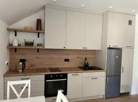 Apartament przy Górze Witosza