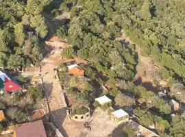 Maple forest park cabins