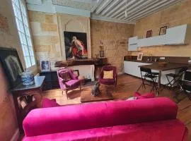 Large deluxe suite, historic center 2nd