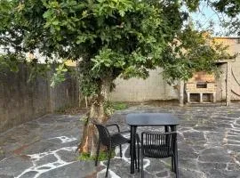 Casita acogedora en Sear