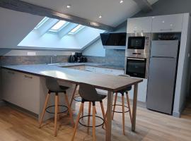 Appartement de charme à Amboise face à la Loire，位于阿姆博斯的酒店