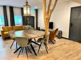 Vakantiewoning Korenburgerveen 't Voorde