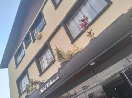 Hotel Colonial，位于伊拉蒂的酒店