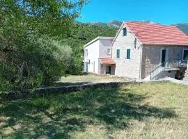 Apartment Green view