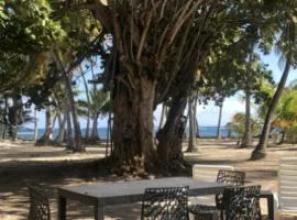 Sainte Anne 1