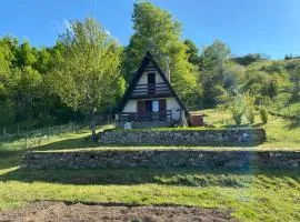 Hilltop cabin