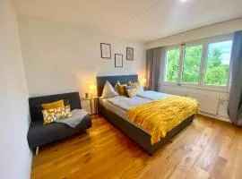 Moderne 3,5 Zi WHG bei Wil SG