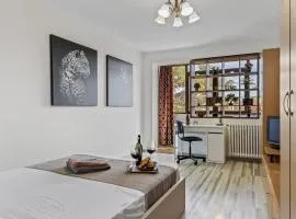 Cozy Studio close to Piata Romana