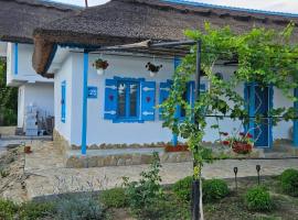 Casa cu stuf Murighiol，位于穆里吉奥尔的酒店