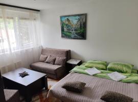 Apartman Sutjeska，位于耶蒂斯特的酒店